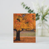 najaar (1) briefkaart (Staand voorkant)