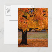 najaar (1) briefkaart (Voorkant / Achterkant)