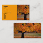 najaar (1), naam, adres 1, adres 2, contactpersoon visitekaartje (Voorkant / Achterkant)