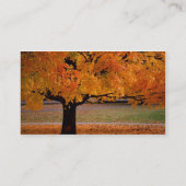 najaar (1), naam, adres 1, adres 2, contactpersoon visitekaartje (Achterkant)