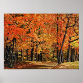 Najaar 30 poster (Voorkant)