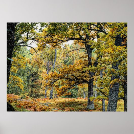 Najaar 34 poster (Voorkant)