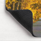 Najaar Avenue Trees Away Road Muismat (Hoek)