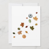 Najaar Baby shower kleine pompoen per post Kaart (Achterkant)