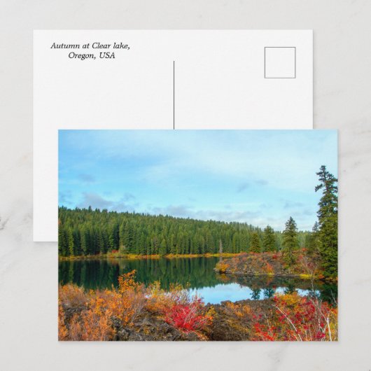 Najaar bij Clear Lake Briefkaart (Voorkant / Achterkant)