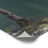 Najaar bij het Beer Lake Poster (Hoek)