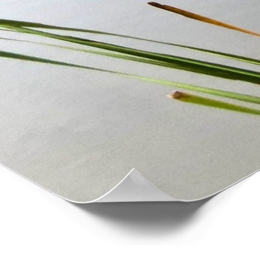 Najaar bij Pond Poster (Hoek)