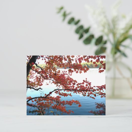 Najaar bij Walden Pond Briefkaart (Staand voorkant)