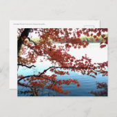 Najaar bij Walden Pond Briefkaart (Voorkant / Achterkant)
