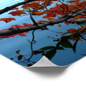 Najaar bij Walden Pond Poster (Hoek)