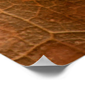 Najaar bladeren closeupabstract, herfst, achtergro poster (Hoek)
