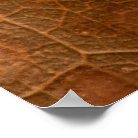 Najaar bladeren closeupabstract, herfst, achtergro poster (Hoek)