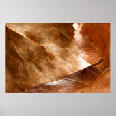 Najaar bladeren closeupabstract, herfst, achtergro poster (Voorkant)