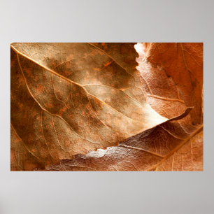 Najaar bladeren closeupabstract, herfst, achtergro poster