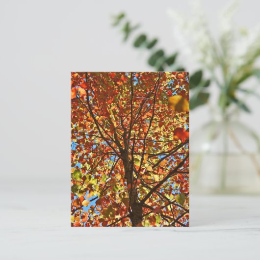 Najaar bladeren Fireworks Briefkaart (Staand voorkant)