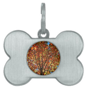 Najaar bladeren Fireworks Huisdieren Naamplaatje