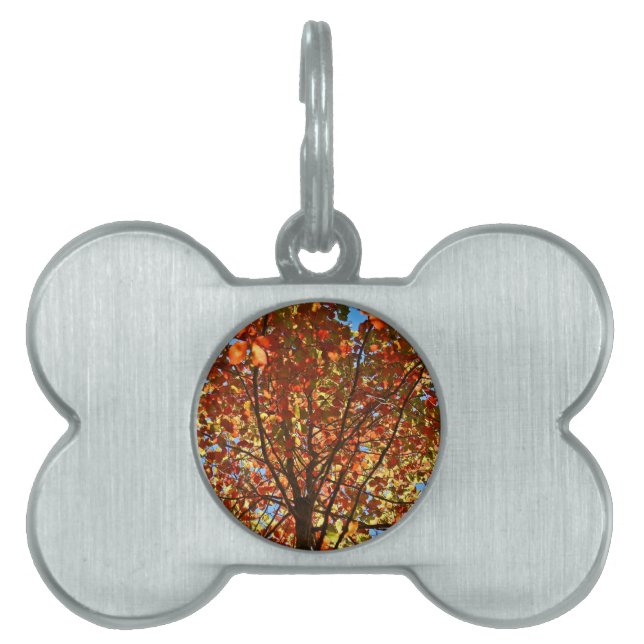 Najaar bladeren Fireworks Huisdieren Naamplaatje (voorkant)