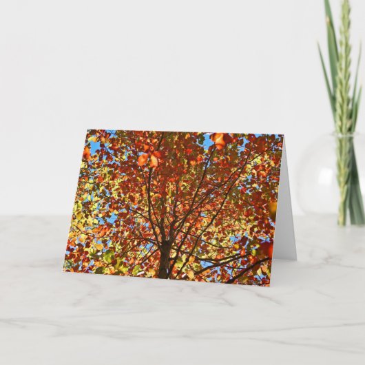 Najaar bladeren Fireworks Kaart (Voorkant)