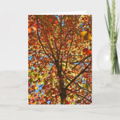 Najaar bladeren Fireworks Kaart (Voorkant)