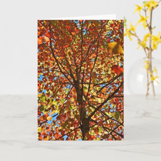 Najaar bladeren Fireworks Kaart (Gele Bloem)