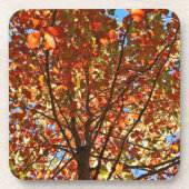 Najaar bladeren Fireworks Onderzetter (Voorkant)