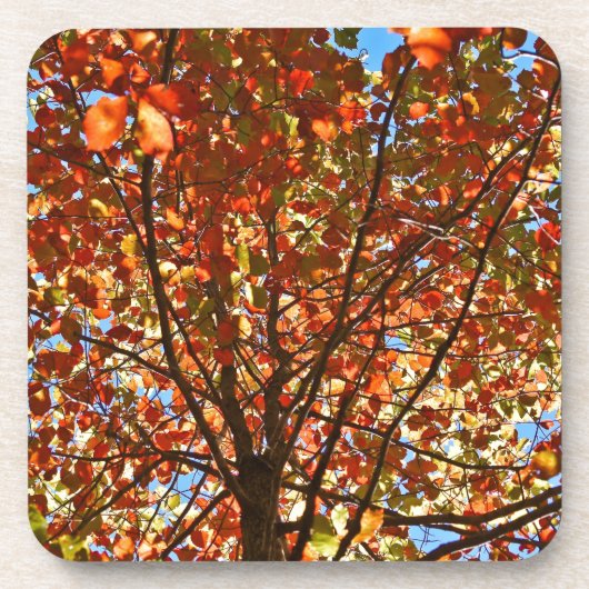 Najaar bladeren Fireworks Onderzetter (Voorkant)