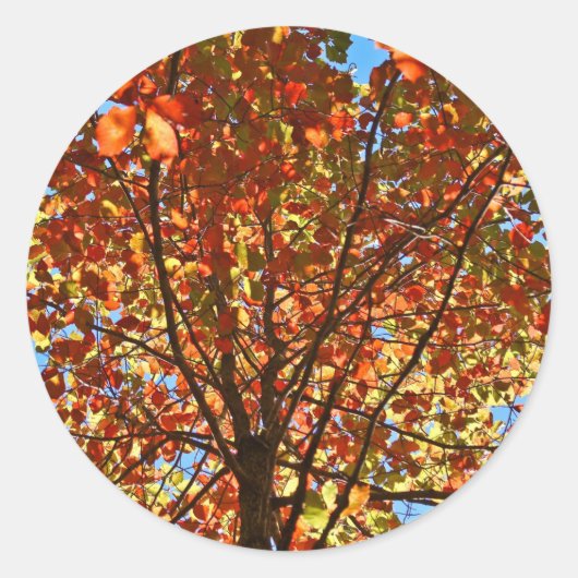 Najaar bladeren Fireworks Ronde Sticker (Voorkant)
