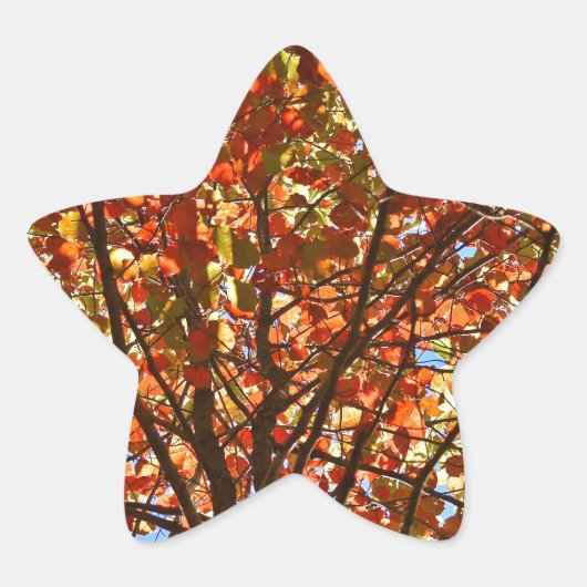 Najaar bladeren Fireworks Ster Sticker (Voorkant)