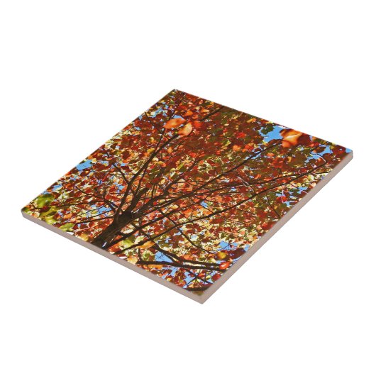 Najaar bladeren Fireworks Tegeltje (Zijkant)