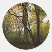 Najaar Bossen Sticker (Voorkant)