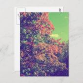  najaar briefkaart (Voorkant / Achterkant)