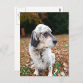 Najaar Briefkaart Dog (Voorkant / Achterkant)