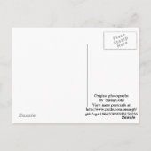 Najaar Briefkaart foto's Bentonville Arkansas (Achterkant)