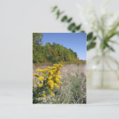 Najaar Briefkaart veld (Staand voorkant)