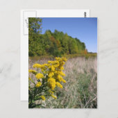 Najaar Briefkaart veld (Voorkant / Achterkant)