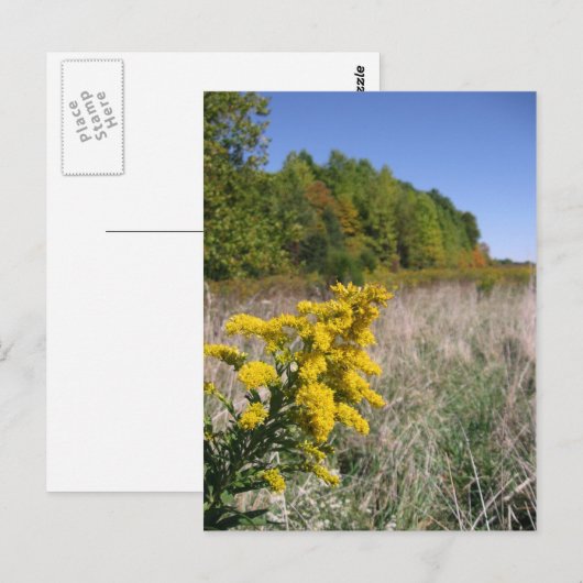 Najaar Briefkaart veld (Voorkant / Achterkant)