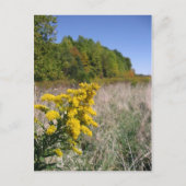 Najaar Briefkaart veld (Voorkant)