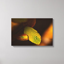 najaar canvas afdruk