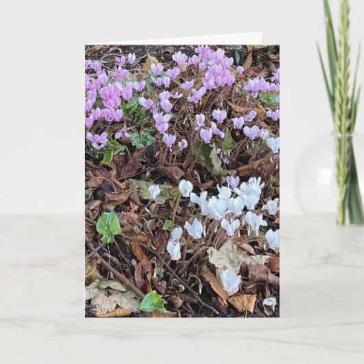 Najaar Cyclamen van Leaves Blank Kaart (Voorkant)