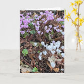 Najaar Cyclamen van Leaves Blank Kaart (Gele Bloem)