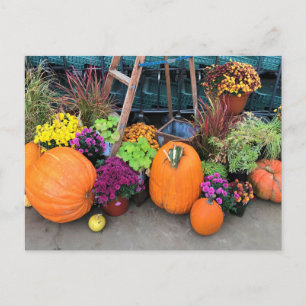 Najaar Decor Briefkaart