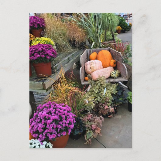 Najaar Decor Briefkaart (Voorkant)