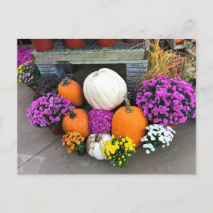 Najaar Decor Briefkaart