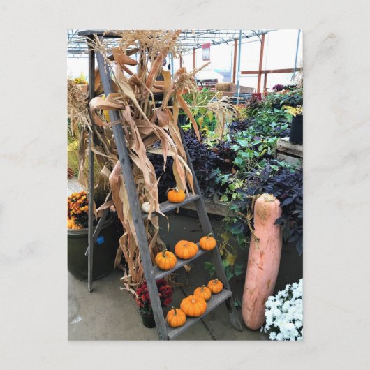 Najaar Decor Briefkaart (Voorkant)