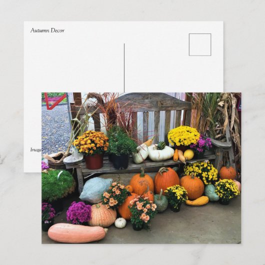 Najaar Decor Briefkaart (Voorkant / Achterkant)