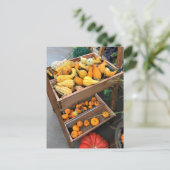 Najaar Decor Briefkaart (Staand voorkant)