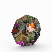 Najaar Decor Fotoblokken (Links)