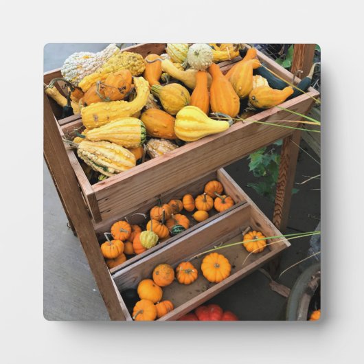 Najaar Decor Fotoplaat (Voorkant)