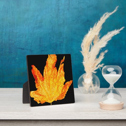 Najaar Decor Fotoplaat (Insitu)