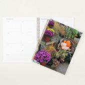 Najaar Decor Planner (Display)